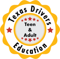 Self Paced Online Course